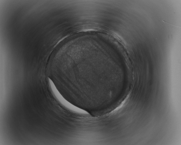 X0000094941353200712271604
