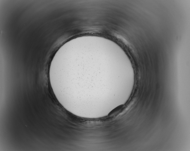 X0000094941354200712271604