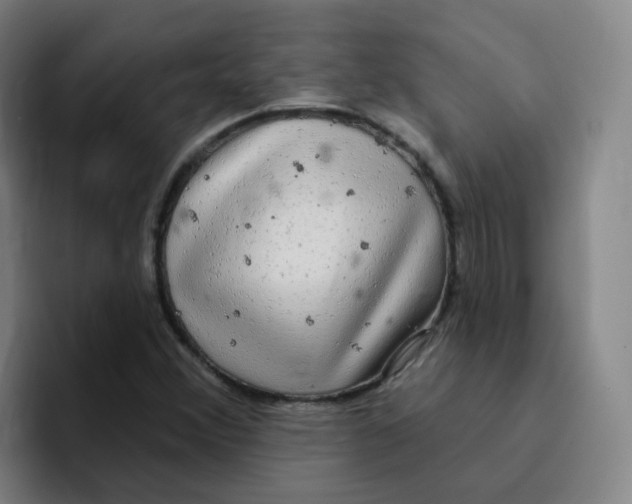 X0000094941356200712271604