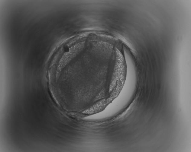 X0000094941357200712271604