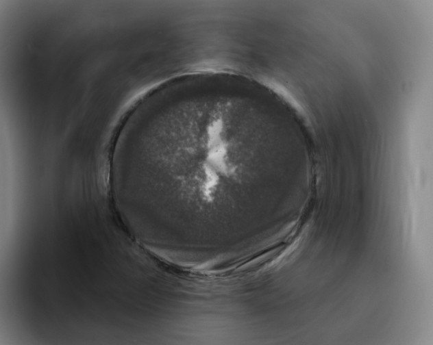 X0000094941358200712271604