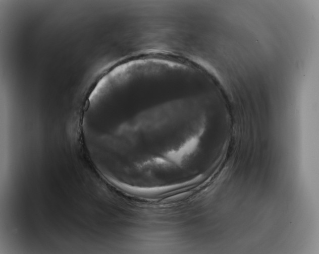 X0000094941359200712271604
