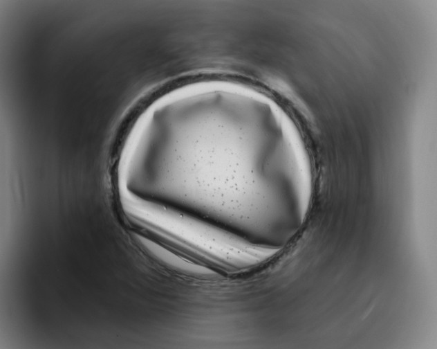 X0000094941360200712271604