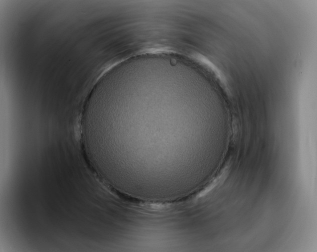 X0000094941361200712271604
