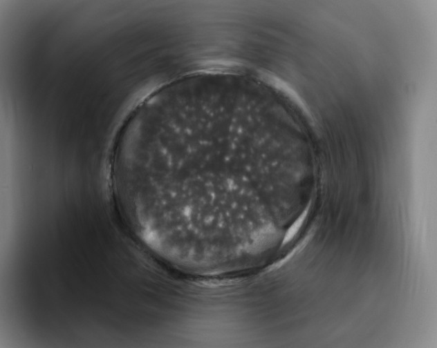 X0000094941362200712271604