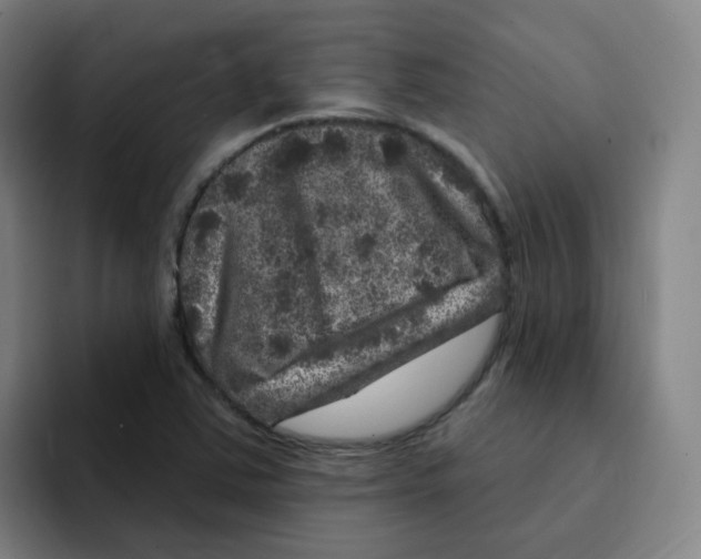 X0000094941363200712271604