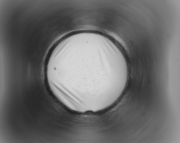 X0000094941364200712271604
