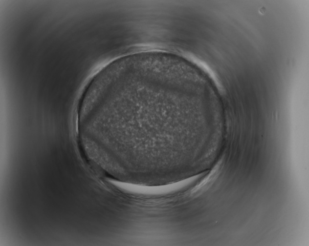 X0000094941365200712271604