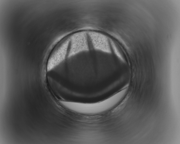 X0000094941367200712271604