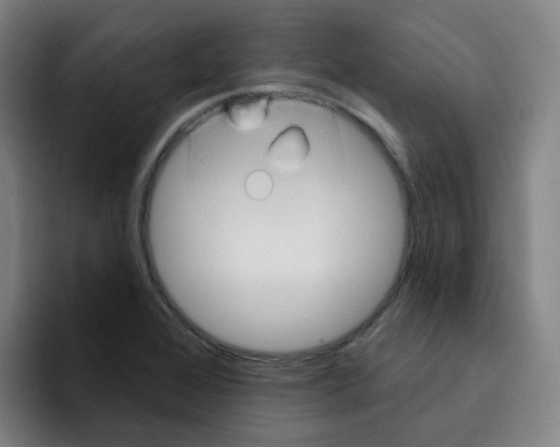 X0000094941368200712271604