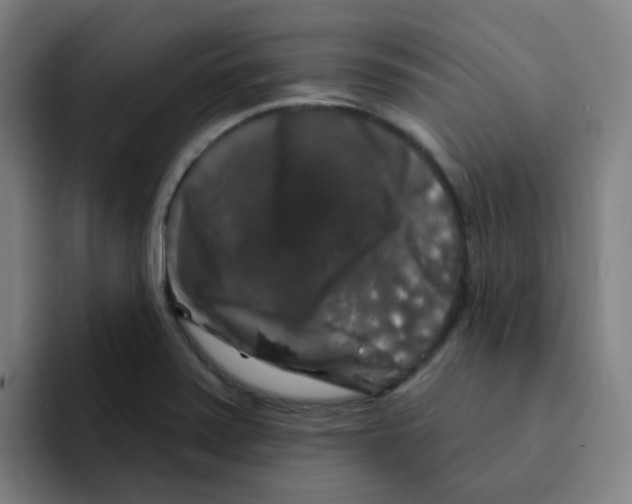 X0000094941371200712271604
