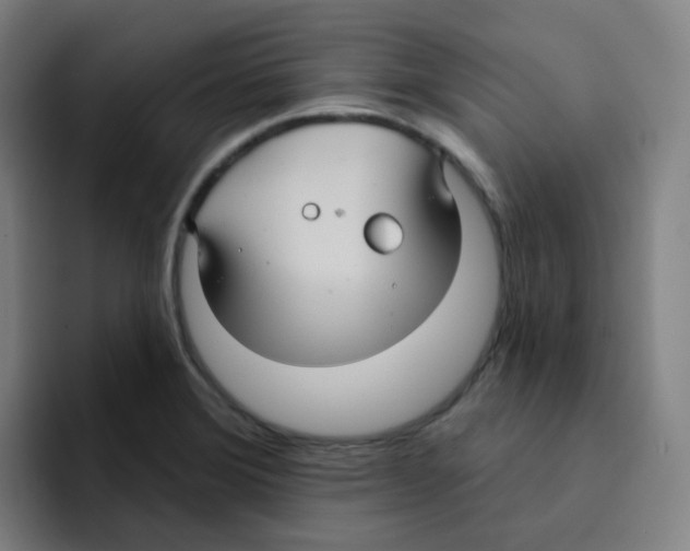 X0000094941372200712271604