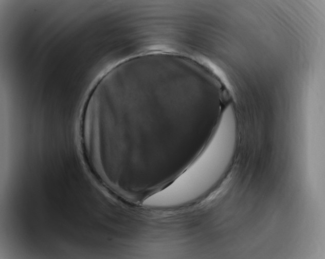 X0000094941373200712271604