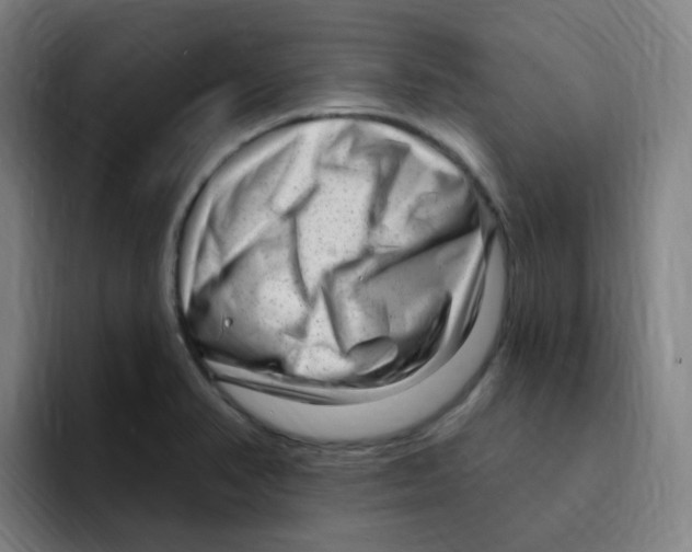 X0000094941374200712271604