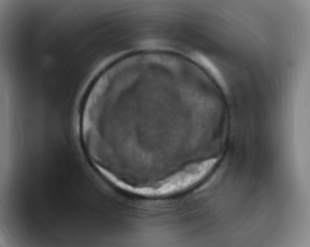 X0000094941376200712271604