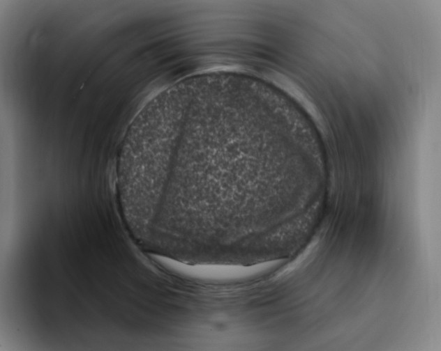 X0000094941377200712271604