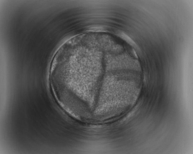 X0000094941378200712271604