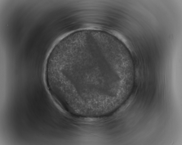 X0000094941379200712271604