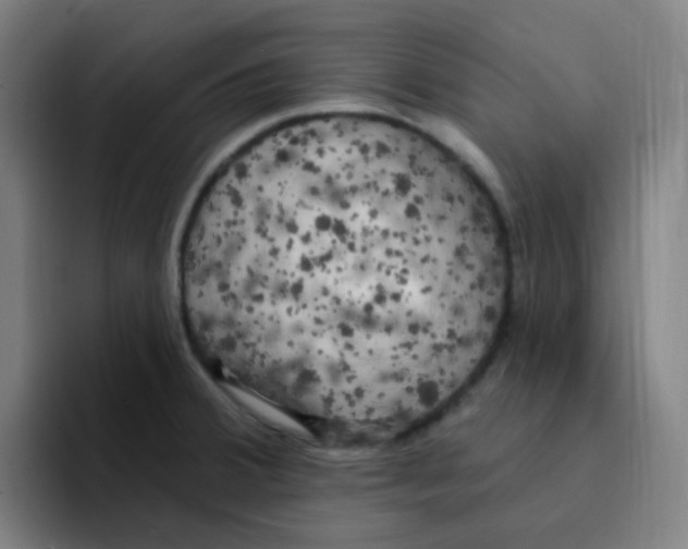 X0000094941380200712271604
