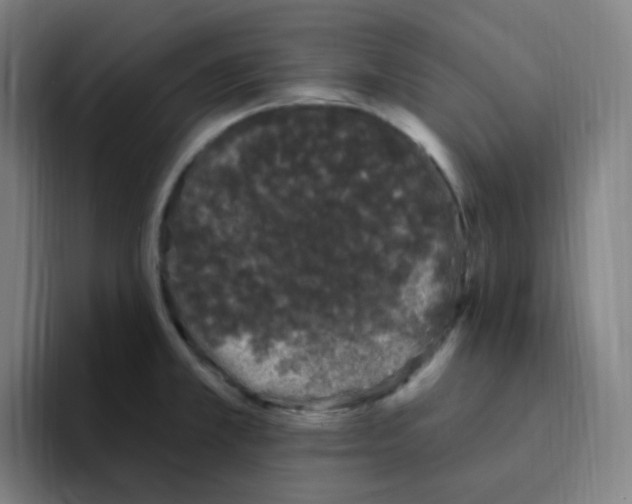 X0000094941381200712271604