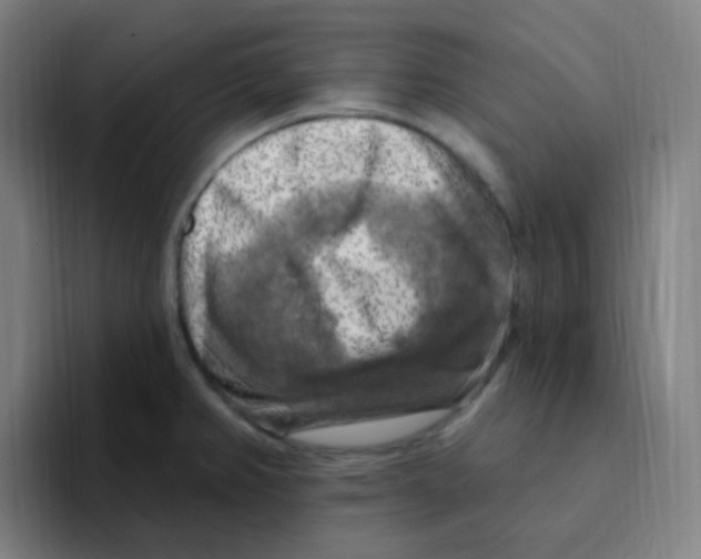 X0000094941382200712271604