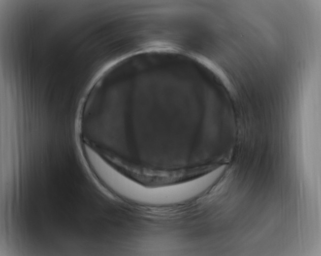X0000094941383200712271604