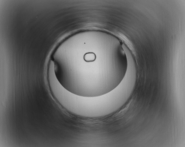X0000094941384200712271604