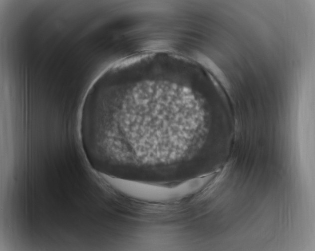 X0000094941386200712271604