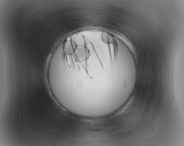 X0000094941388200712271604