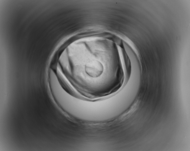 X0000094941389200712271604