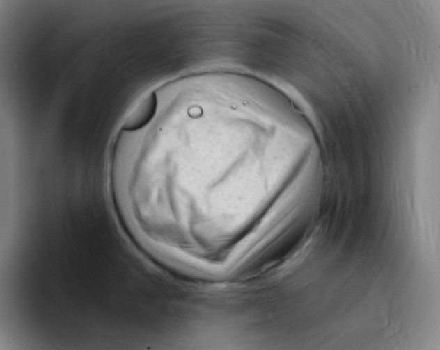 X0000094941390200712271604