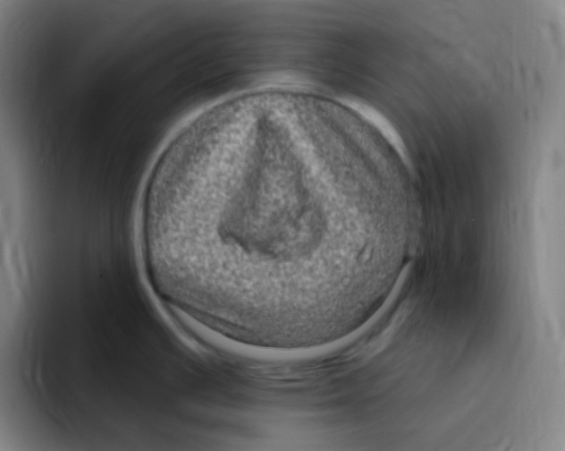 X0000094941391200712271604