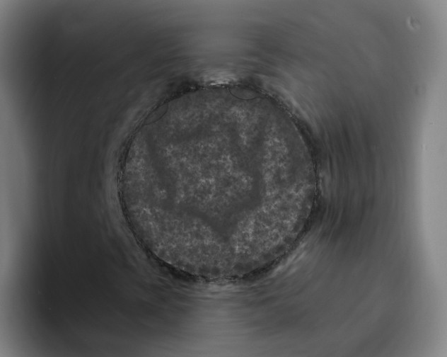 X0000094941393200712271603