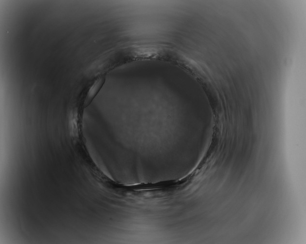 X0000094941394200712271603