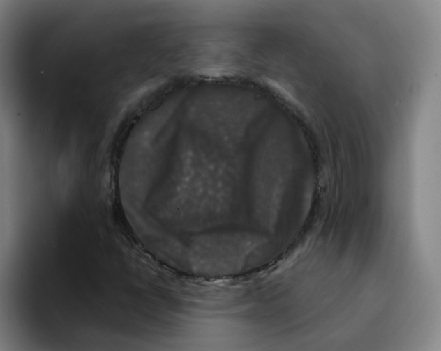 X0000094941398200712271603