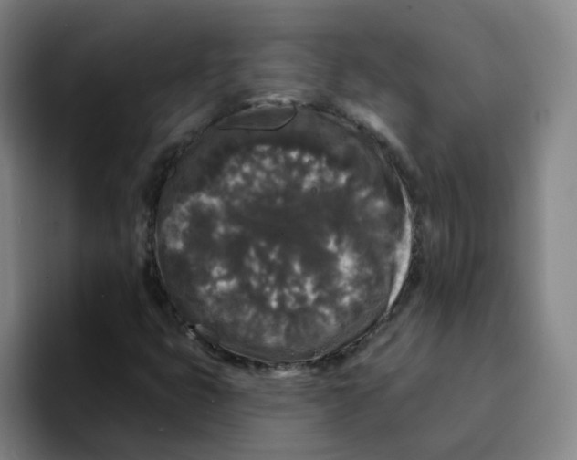 X0000094941399200712271603