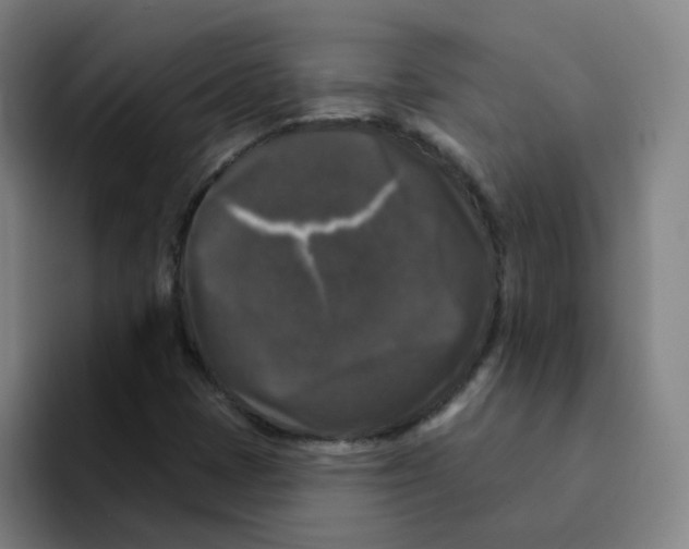 X0000094941401200712271603