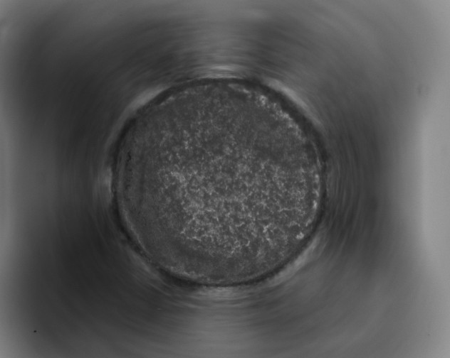 X0000094941402200712271603