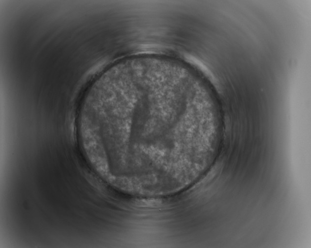 X0000094941403200712271603