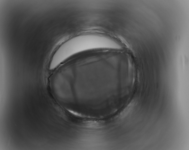X0000094941405200712271603