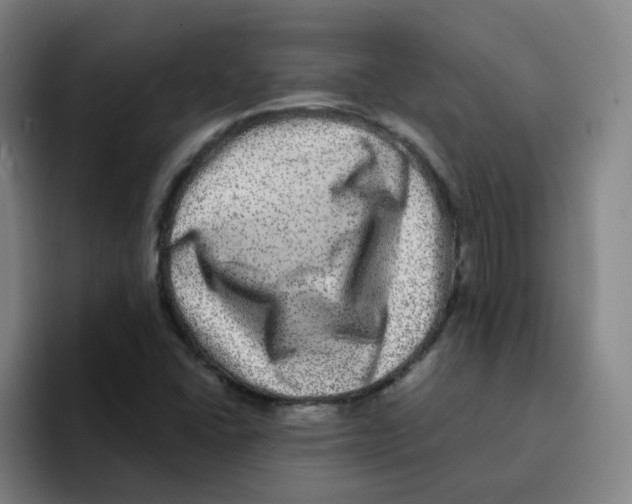 X0000094941406200712271603