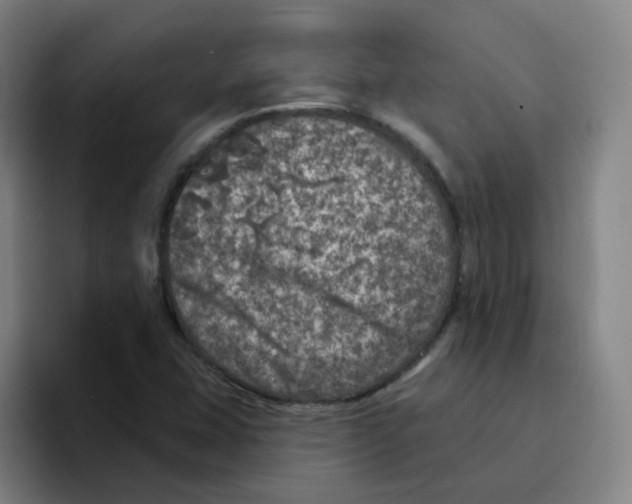X0000094941407200712271603