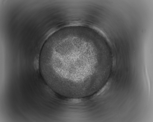 X0000094941409200712271603