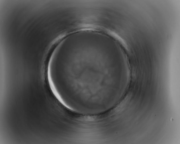 X0000094941411200712271603