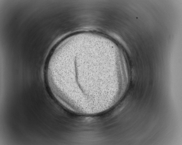 X0000094941412200712271603