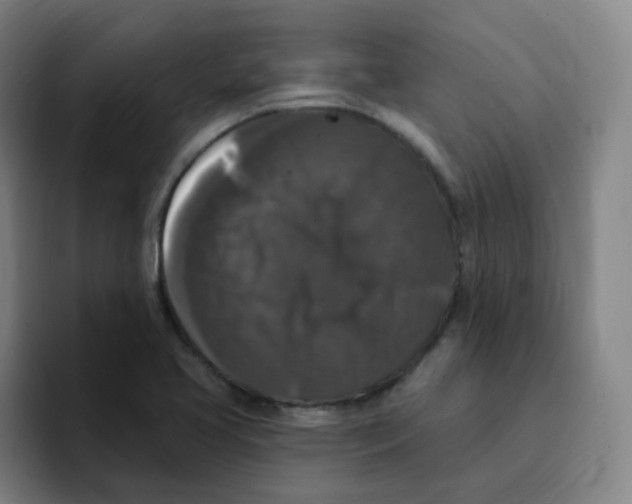 X0000094941413200712271603