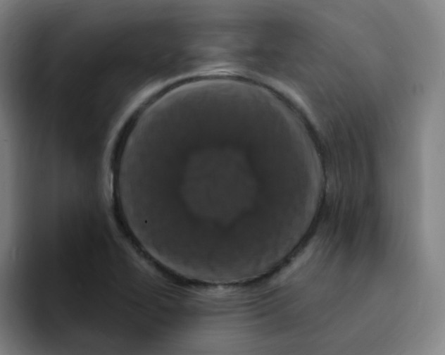 X0000094941414200712271603