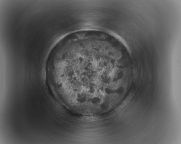 X0000094941415200712271603