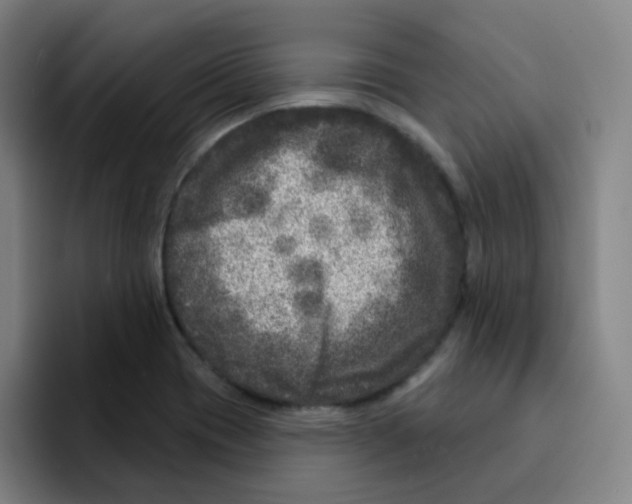 X0000094941417200712271603