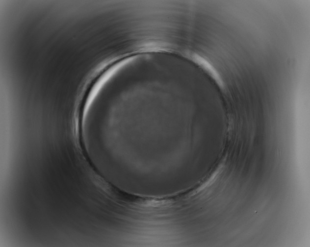 X0000094941419200712271604